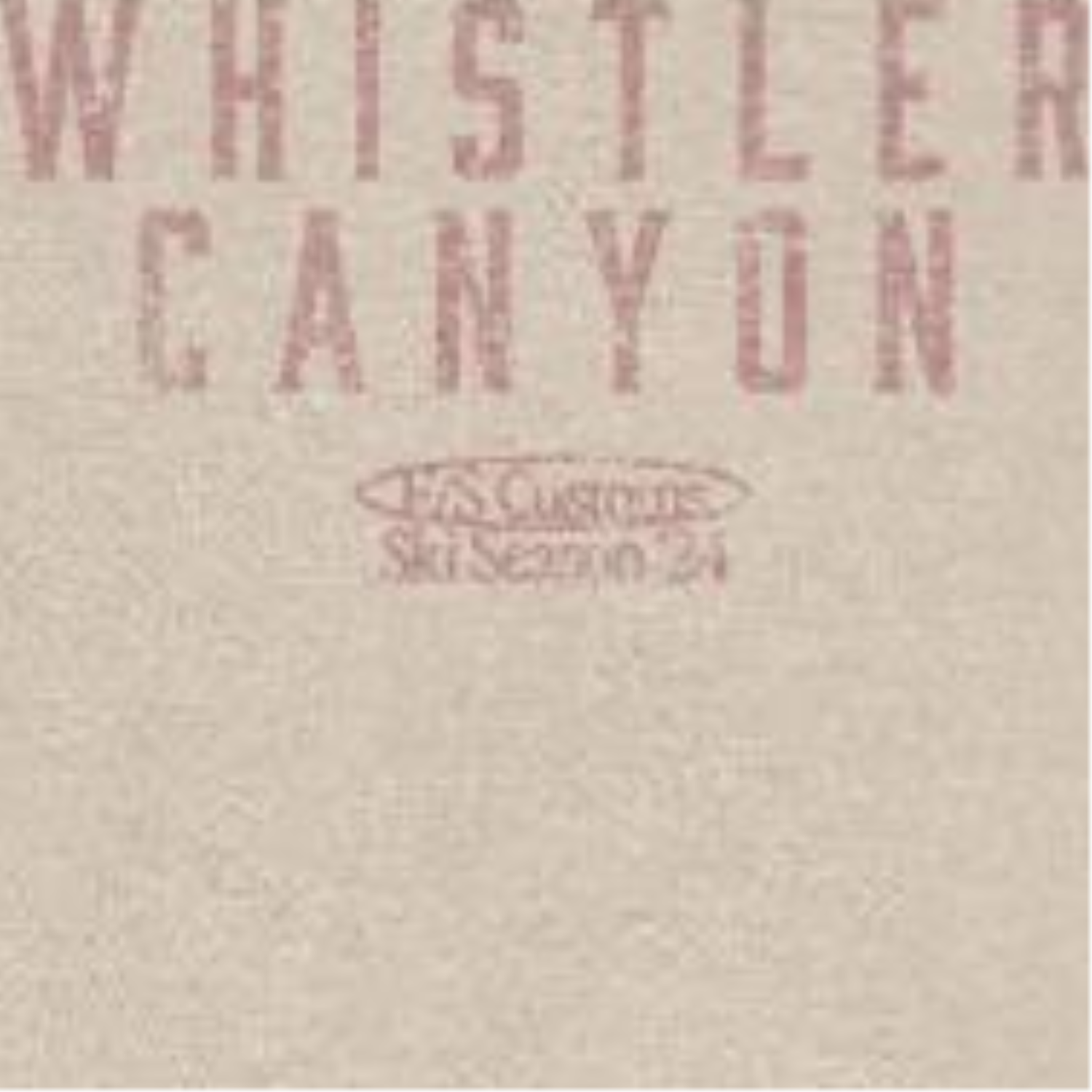 Wholesale Snowboarding Whistler Light Front & Back Print T-Shirt