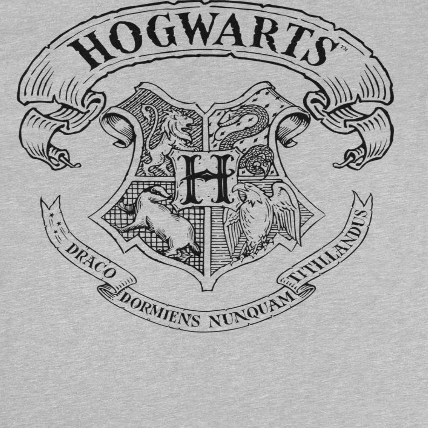 Harry Potter Hogwarts Pencil Emblem Sport Grey T-Shirt