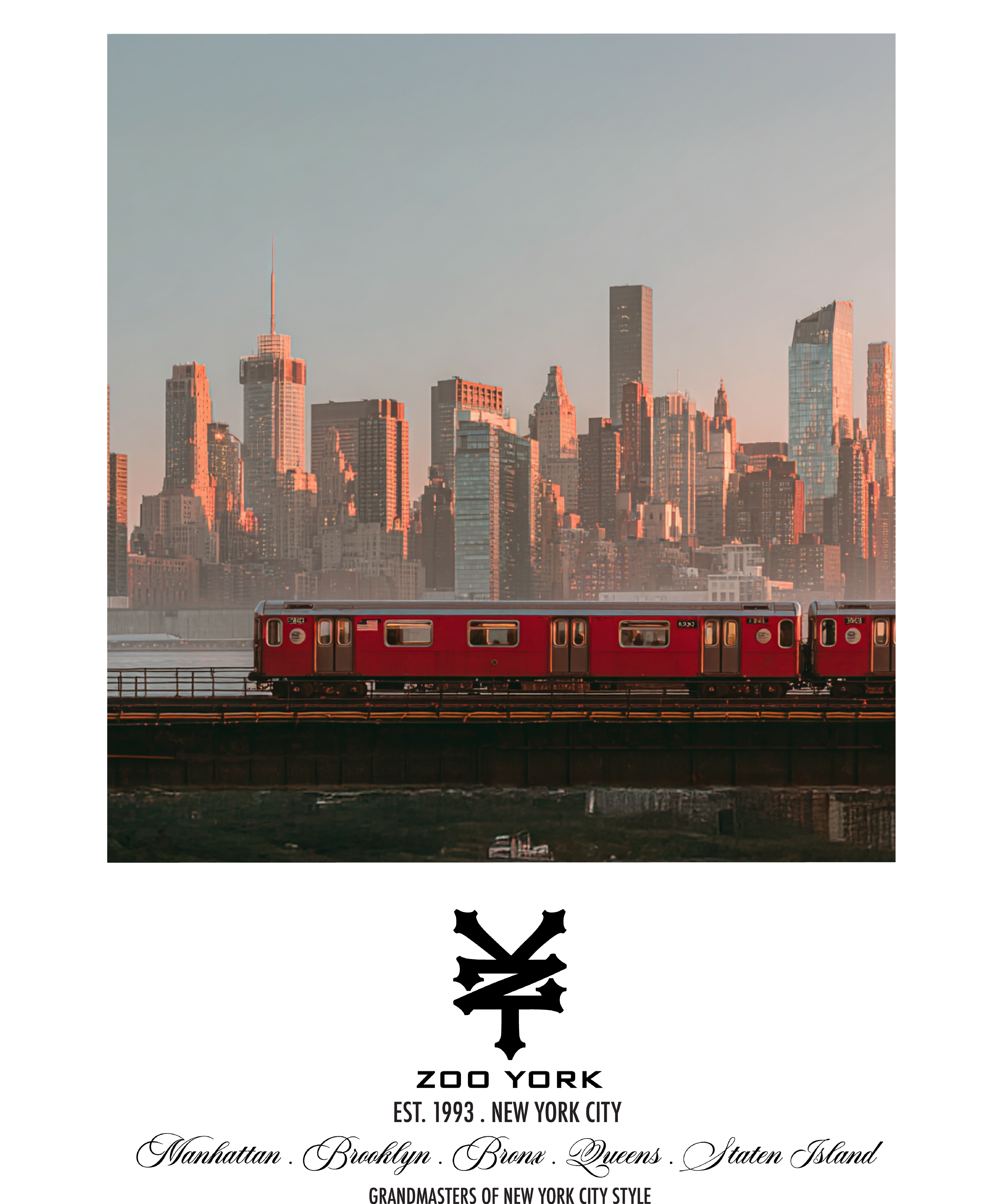 Zoo York Subway Skyline Nueva York Classic Panel T-Shirt