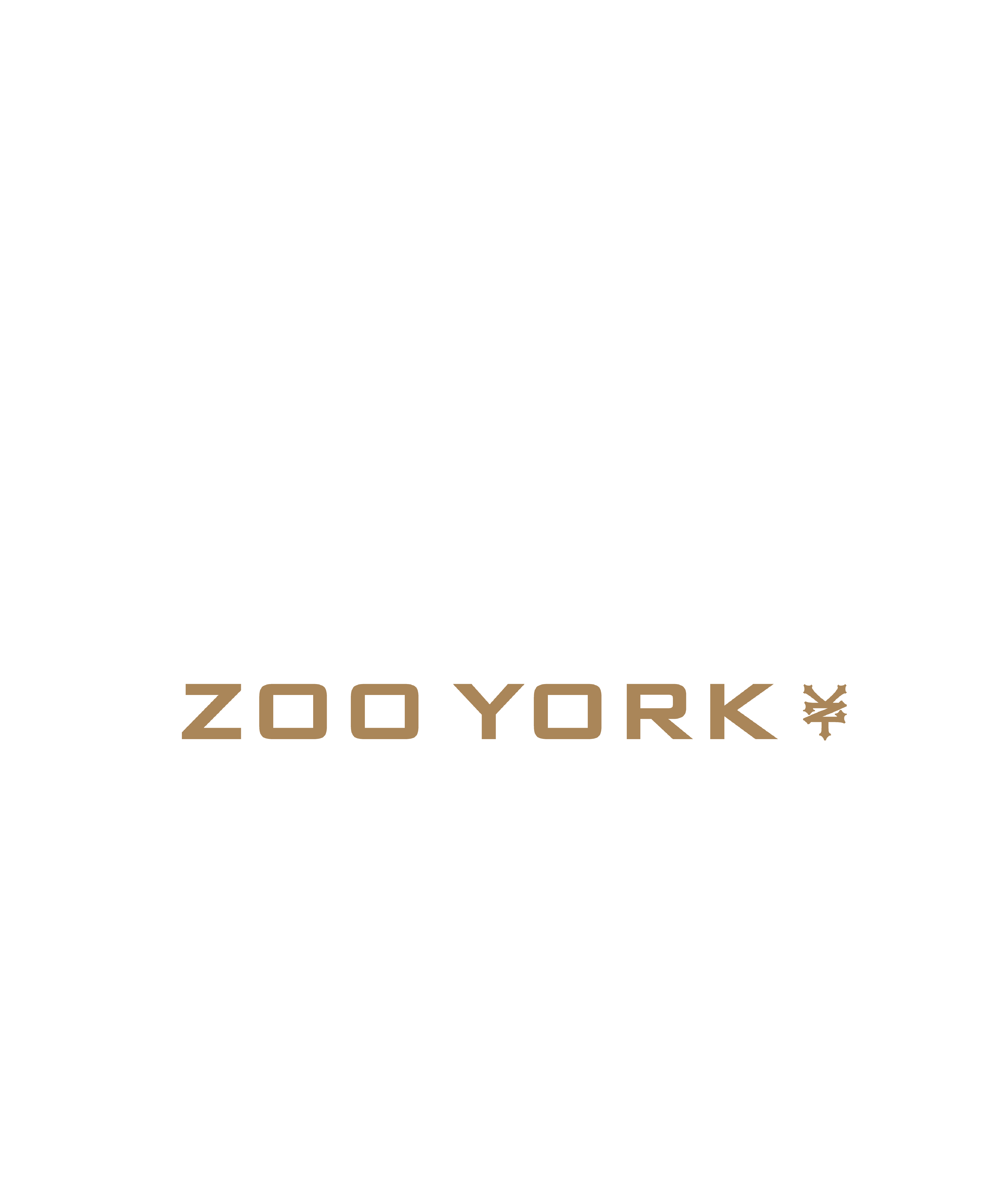 Zoo York 93 Athletic Style Nueva York Logo T-Shirt