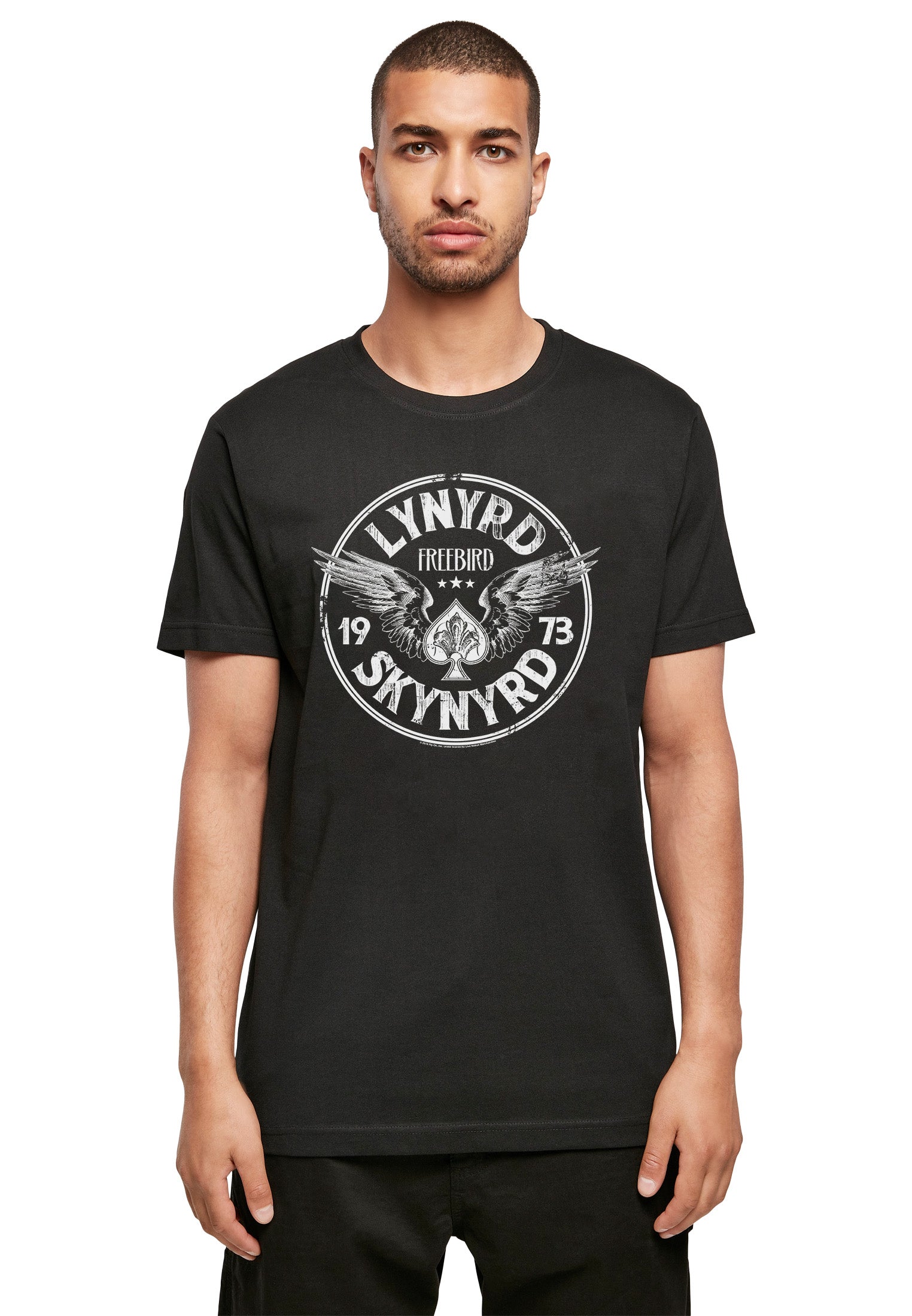 Lynyrd Skynyrd Ace 1973 T-Shirt