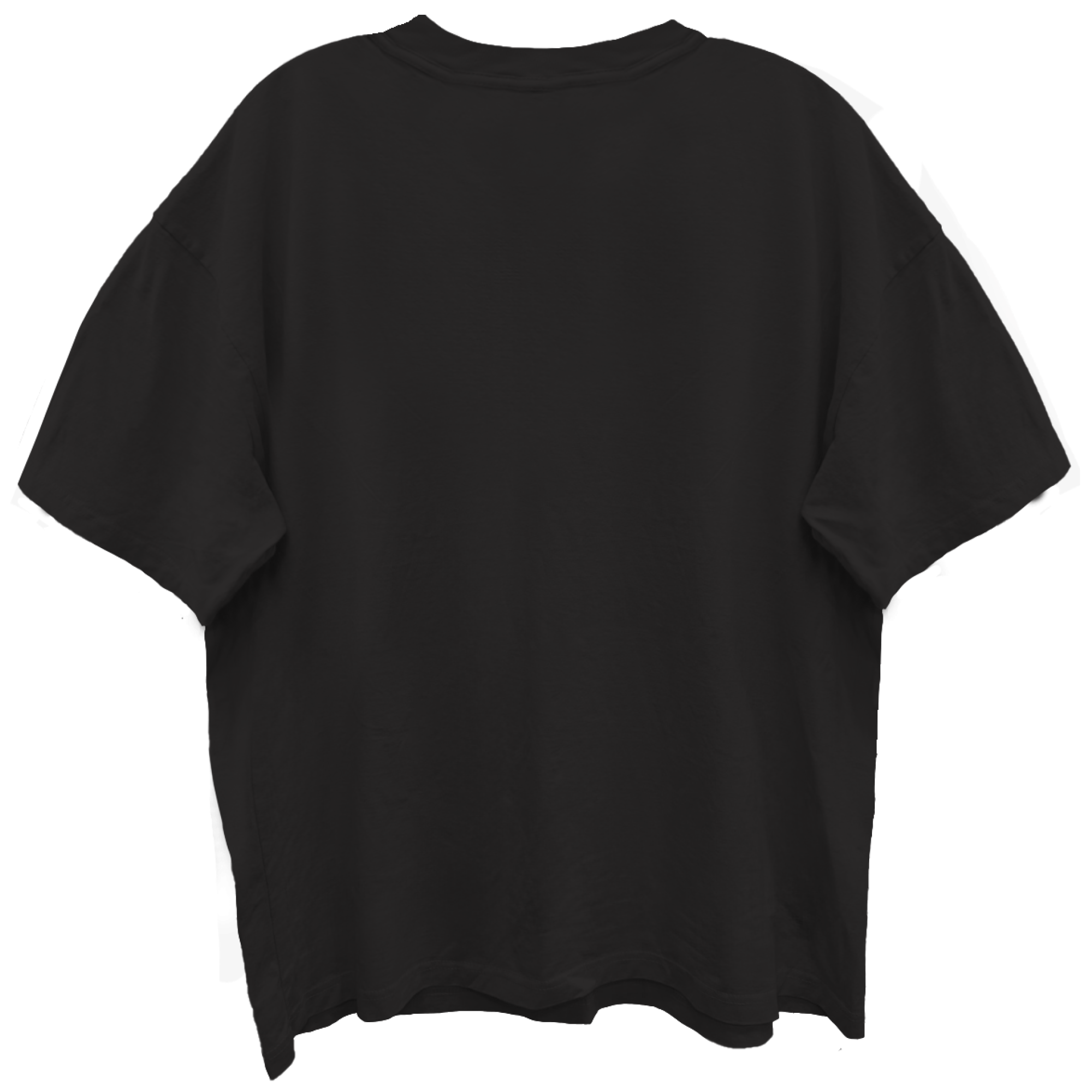 Giant Vintage Lenny Kravitz Universal Love Tour Limo Black Enzyme Washed T-Shirt