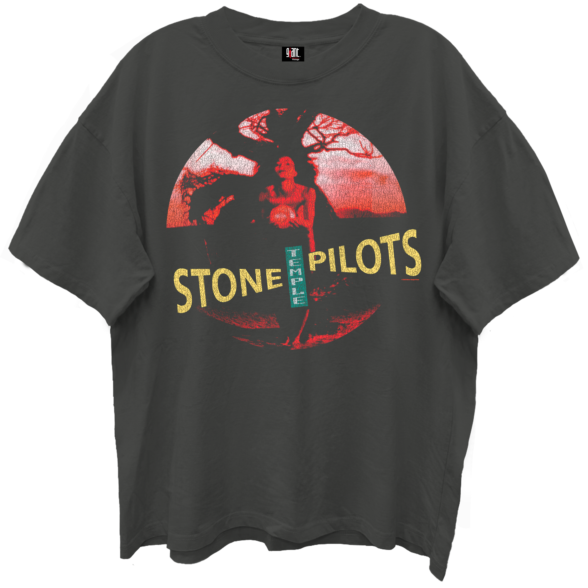 Giant Vintage Stone Temple Pilots Core Album Cover Vintage Black Enzyme Washed T-Shirt