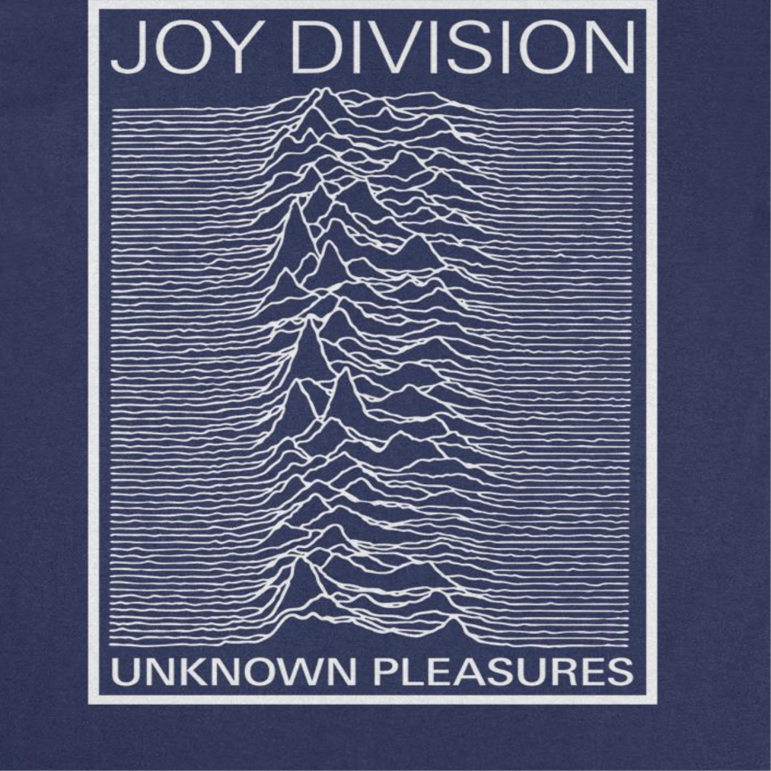 Wholesale Joy Division Unknown Pleasures Frame Band T-Shirt