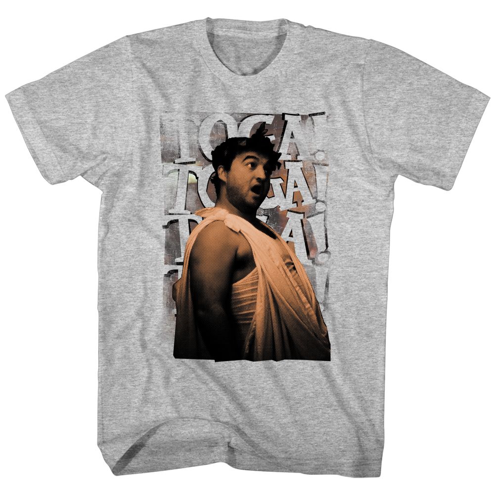 Wholesale Animal House Movie Toga Chant Heather Gray Adult T-Shirt