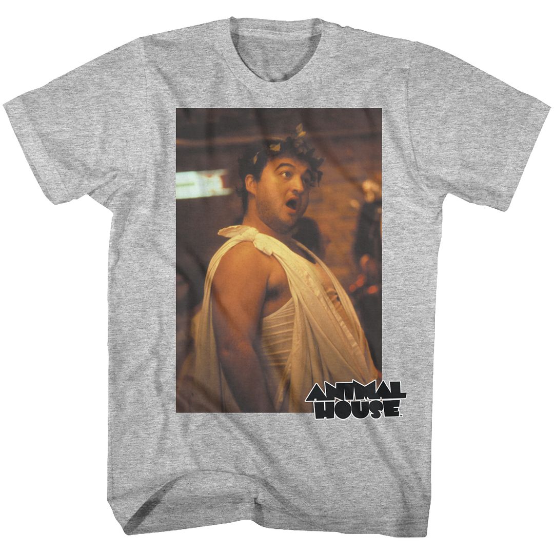 Wholesale Animal House Movie Toga Photo Heather Gray Adult T-Shirt