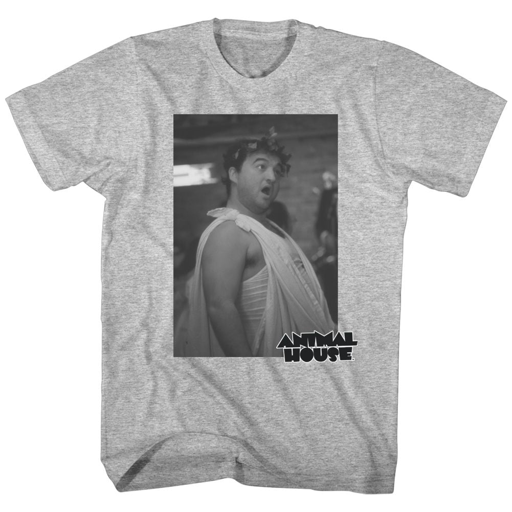Wholesale Animal House Movie Toga Photo Heather Gray Adult T-Shirt