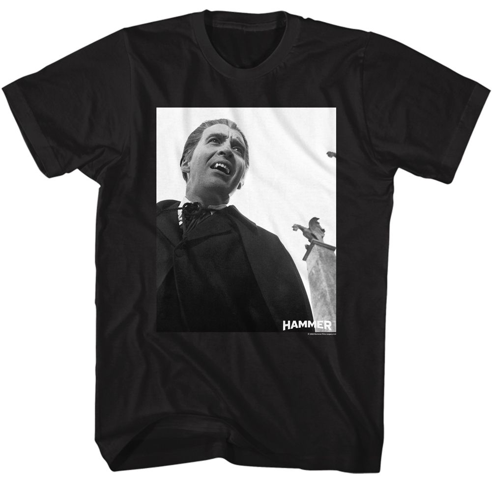 Wholesale Horror Movies Dracula Screenshot Black Adult T-Shirt