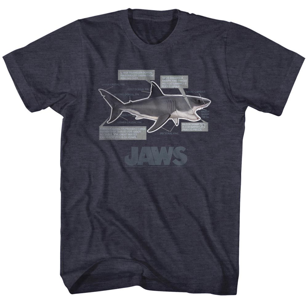 Wholesale JAWS Movie Anatomy Heather Navy Adult T-Shirt