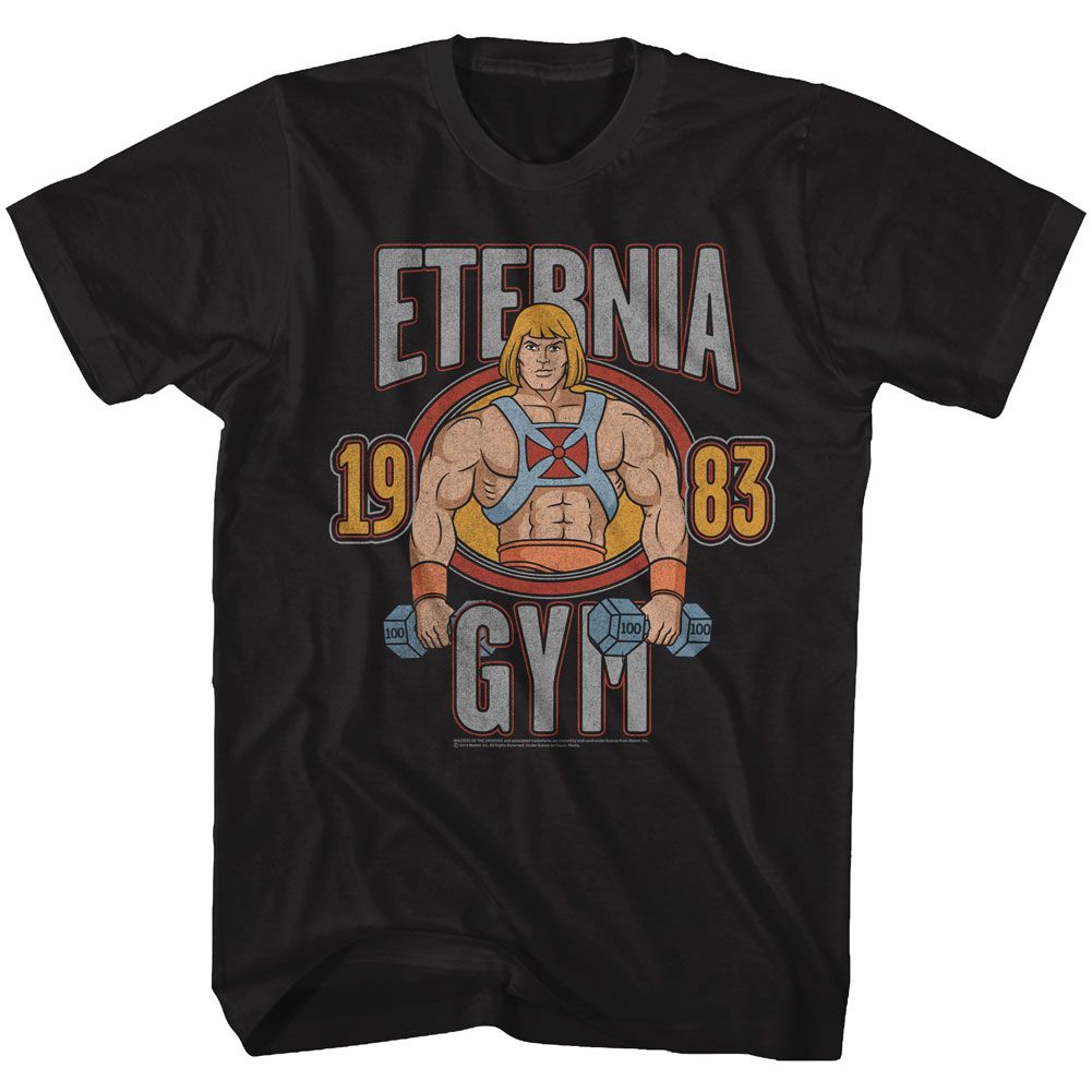 Wholesale Masters of the Universe He-Man Gym Black T-Shirt