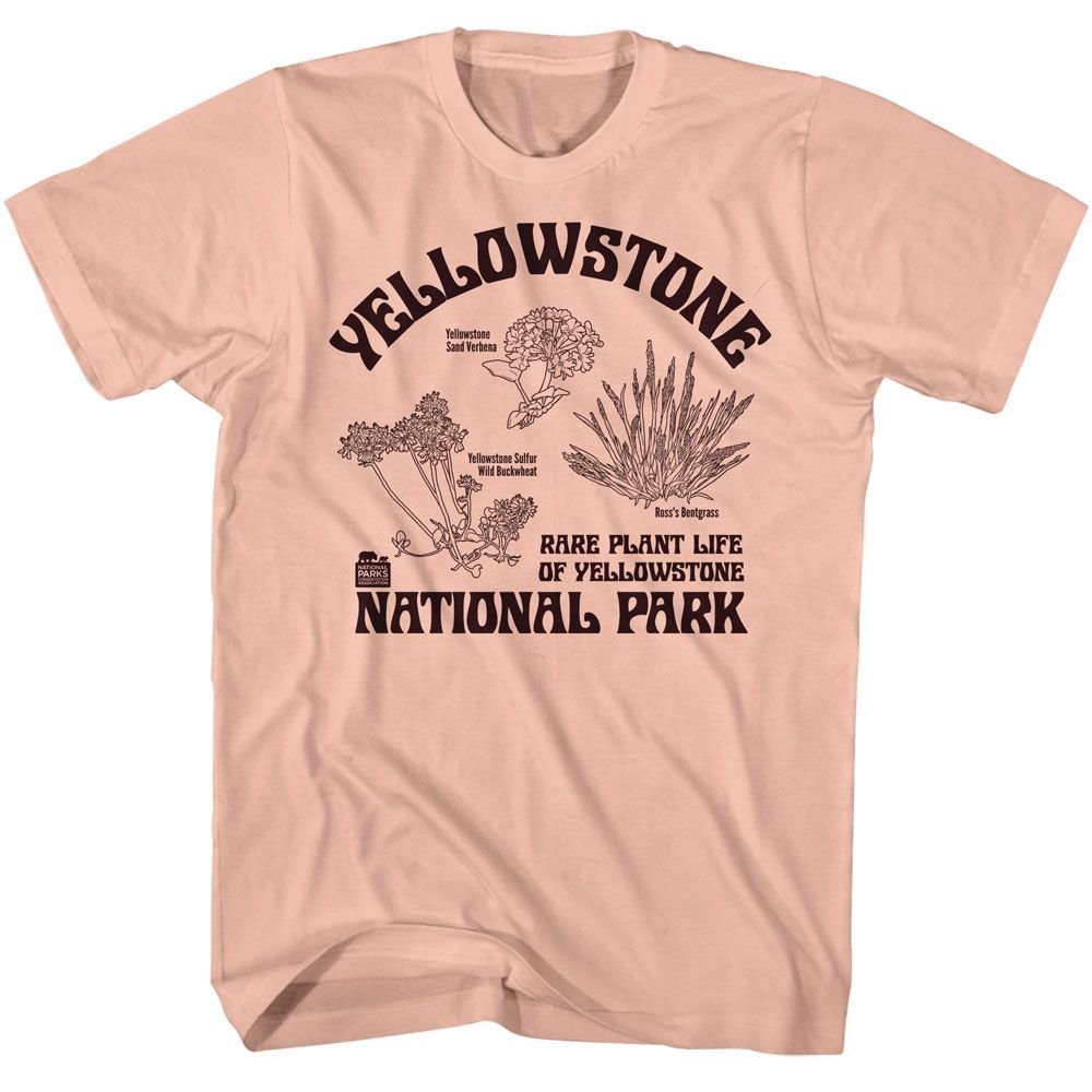 Wholeale NPCA-RARE PLANTS YELLOWSTONE-PEACH ADULT S/S TSHIRT-S