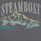 Wholesale Ski Steamboat Dark Heather T-Shirt