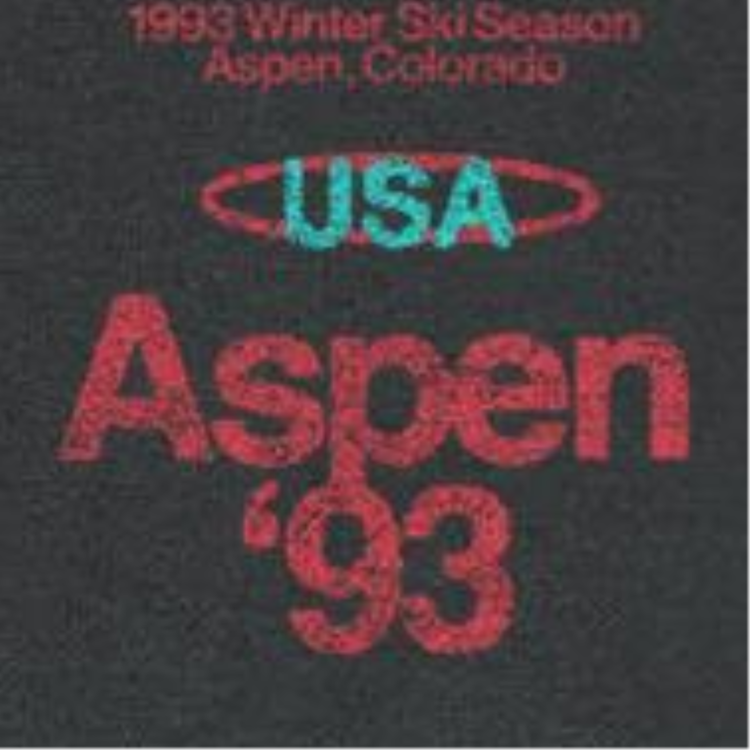 Wholesale Ski Aspen '93 Front and Back Print Black T-Shirt