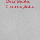 Wholesale Christmas T-Shirt - Dear Santa I Can Explain