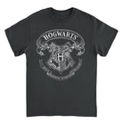 Harry Potter Draco Dormiens Nunquam Titillandus Black T-Shirt