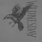 Wednesday Raven 2 Charcoal T-Shirt