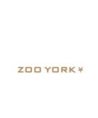 Zoo York 93 Athletic Style Nueva York Logo T-Shirt