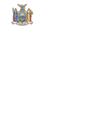 Wholesale Zoo York Excelsior Classic Patch Logo T-Shirt