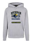 University of Michigan Vintage Wolverines with Helmet Hoodie - Heather Grey