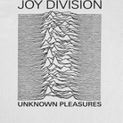 Wholesale Joy Division Unknown Pleasures Titles Band T-Shirt