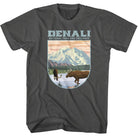 Wholeale NPCA-DENALI LANDSCAPE SHAPE-SMOKE ADULT S/S TSHIRT-S