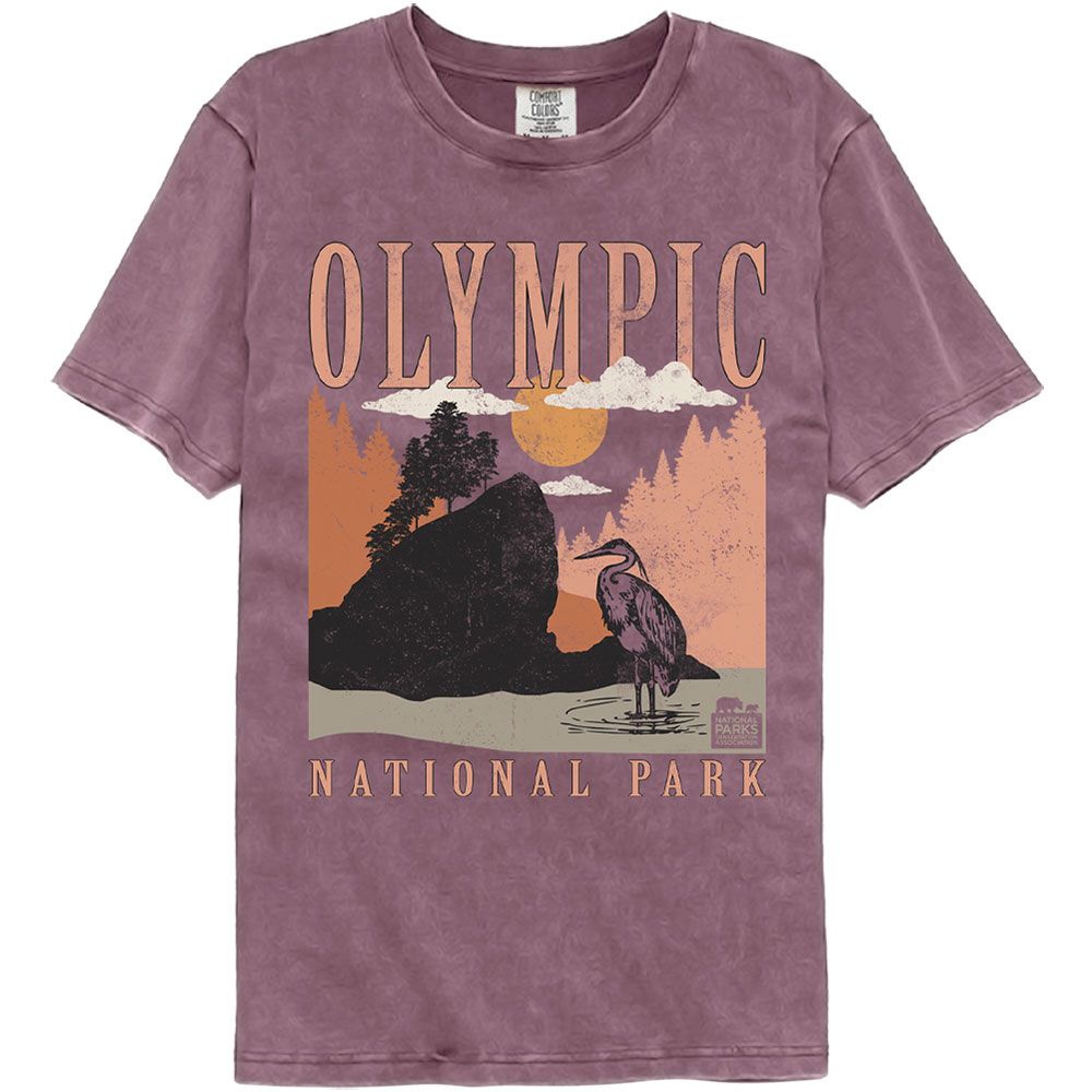 Wholesale Olympic National Park Multi-Color Premium Dye Fashion T-Shirt
