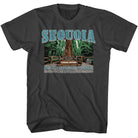 Wholeale NPCA-SEQUOIA-SMOKE ADULT S/S TSHIRT-S